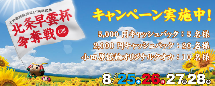 キャンペーン